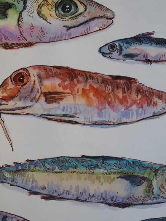 Seafood - original watercolor and ink sketch