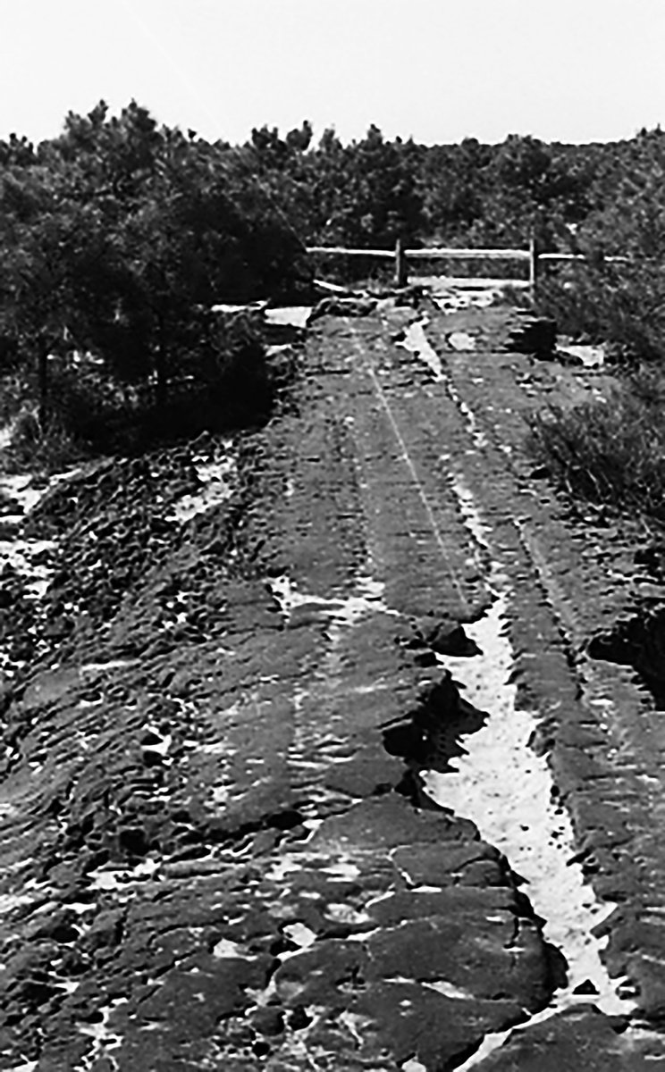 Landscape Photograph By David Huntzinger, 17 X 28, Echoes Of The Ancient Roadway, Original Artwork