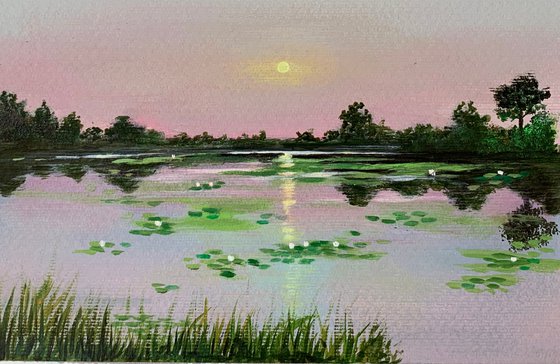 Water lily pond at pink sunset ! A4 Painting on paper