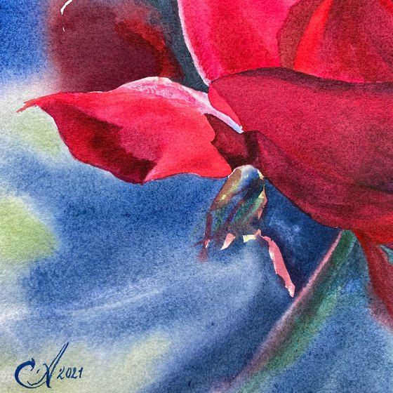Floral: Shining Rose