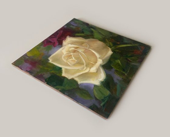 Cream Rose Original Oil Painting