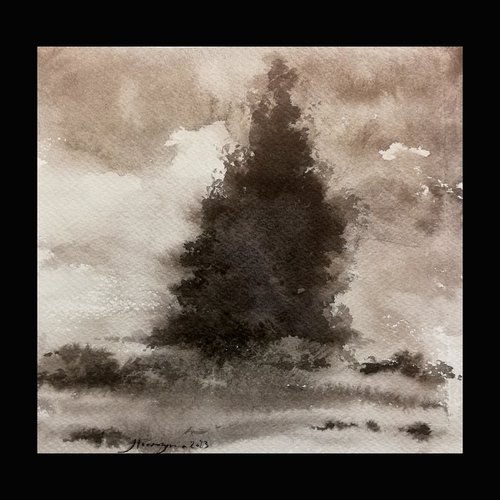 Alone Cypress by Jamaleddin Toomajnia