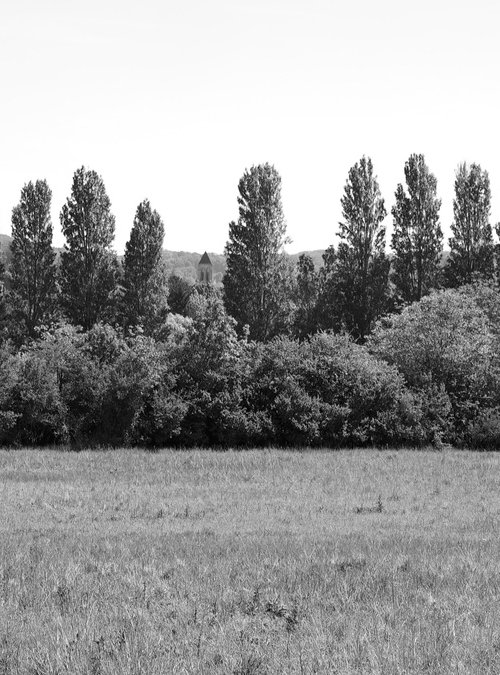 Poplars at Lavacourt by Alex Cassels