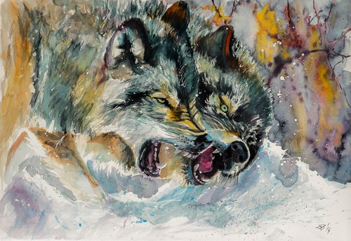 Wolves at wintertime by Kovács Anna Brigitta