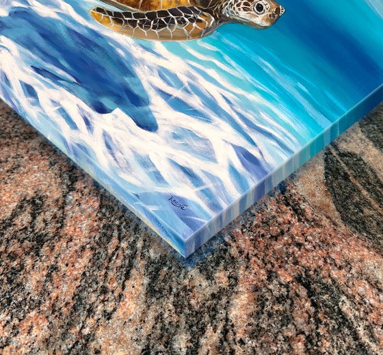 Sea turtle