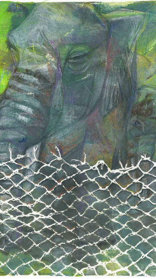 ZOO 3 - Elephant Frits by Hilde Hoekstra