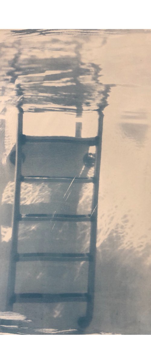 Up or Down- Cyanotype Print by Georgia Merton