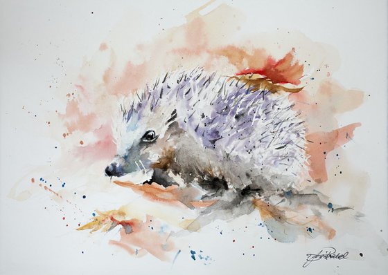 Hedgehog