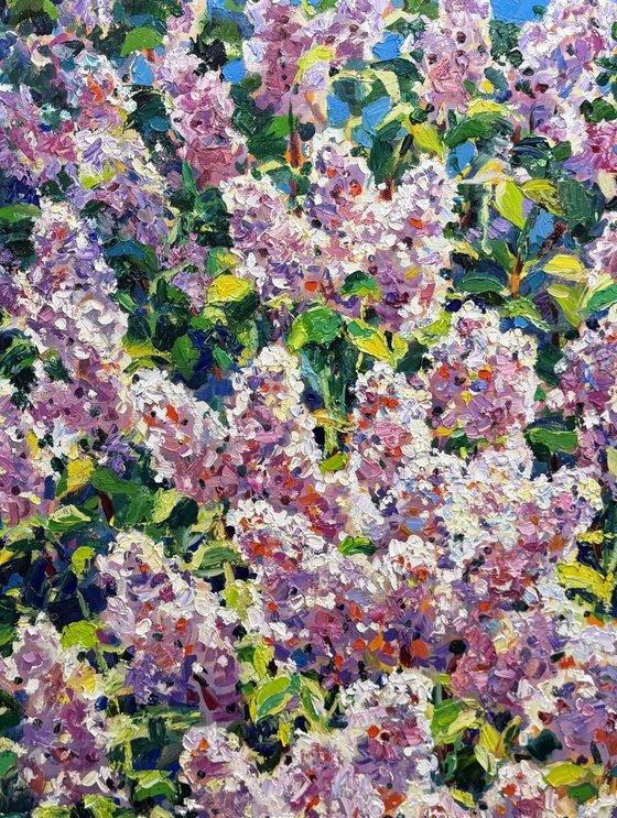 Breath of spring..