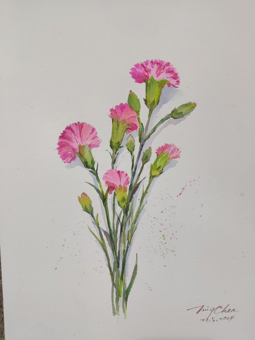 Carnations by Jing Chen