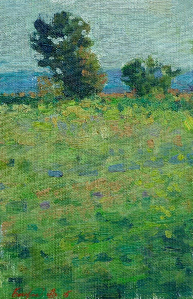 Impressionistic Landscape Oil Painting By Anastasia Borodina, 8 X 12, Meadow - Original Oil Painting, Original Artwork