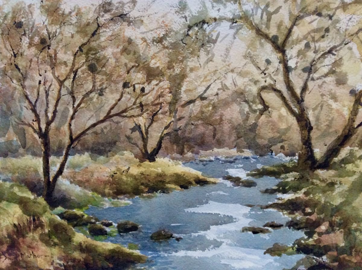 River Meavy Dartmoor by David Mather