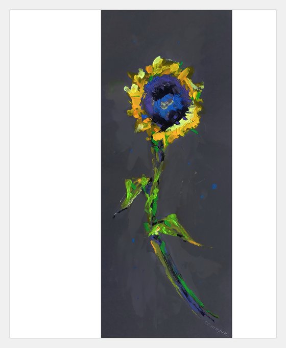 Sunflower on Gray Background