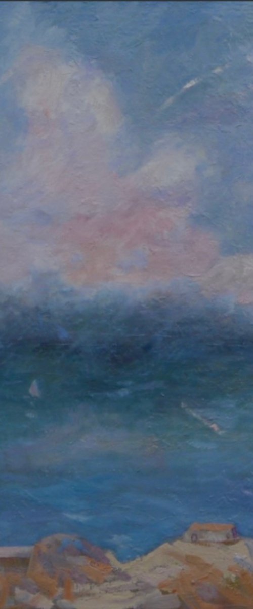 View From Berry Head by Irina Smirnova-Seymour