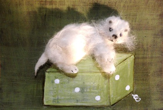 Herminette the player, the angora white ermine