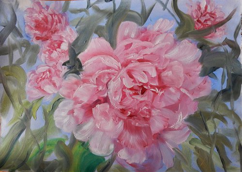 Pink Peonies flowers by Vita Schagen