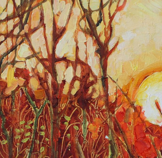 Sun Setting Over Aldi