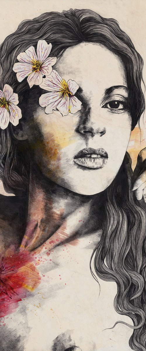 Sinaia by Marco Paludet