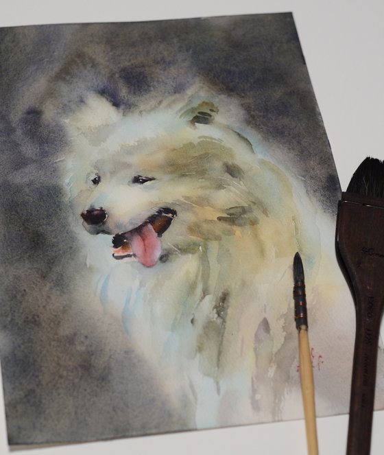 White Samoyed dog in watercolor