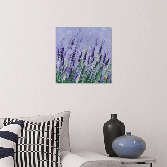 Lavender obsession