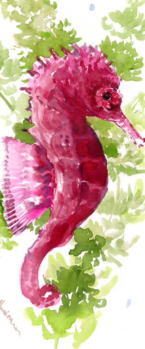 Pink Purple Seahorse by Suren Nersisyan