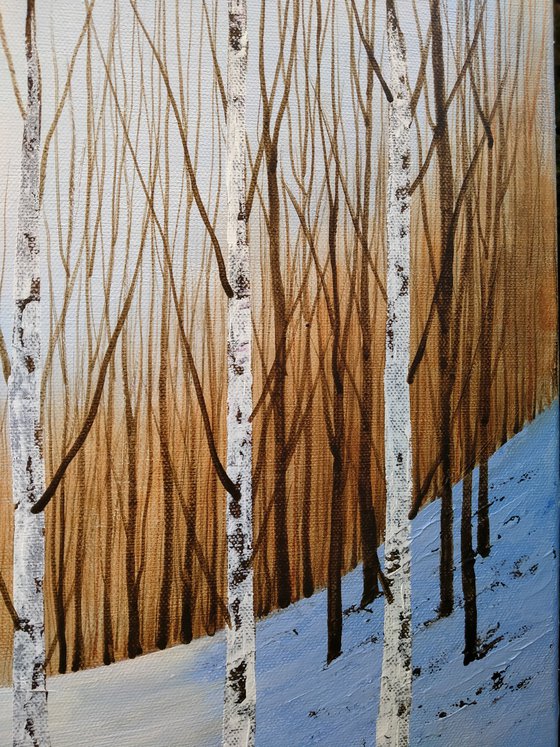 Winter Woodland Birches