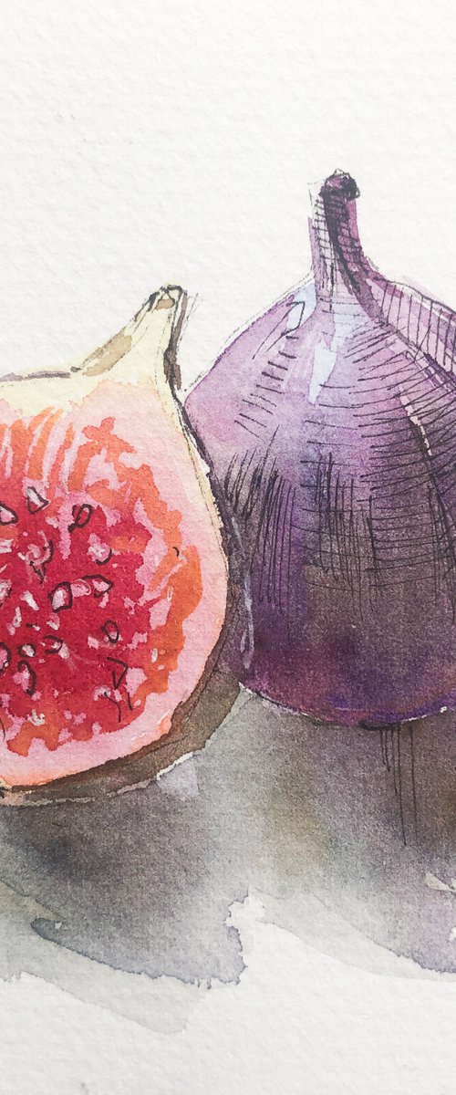 FIGS by Nataliia Nosyk