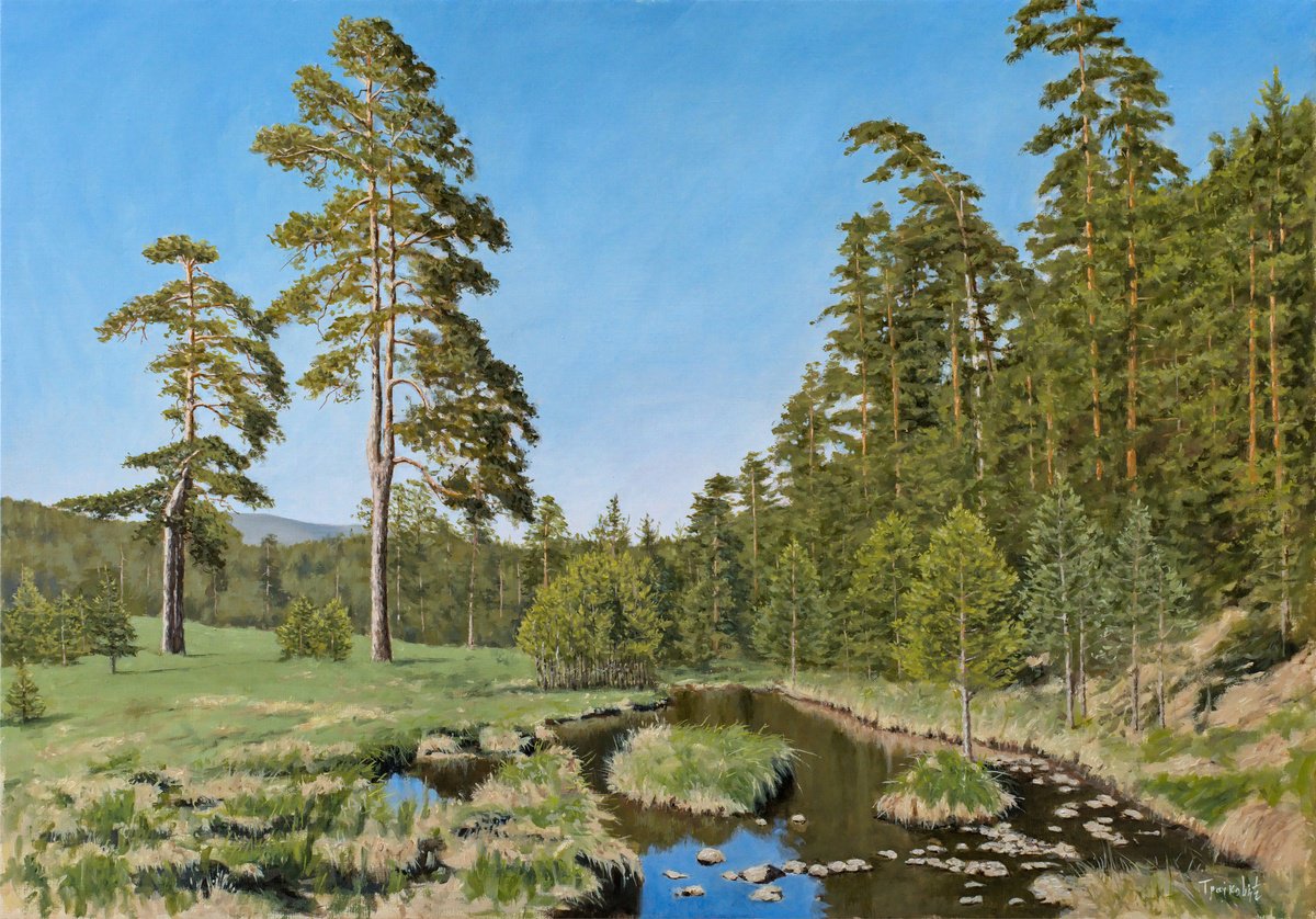 Impressionistic Landscape Oil Painting By Dejan Trajkovic, 39 X 28, Well Wisher, Original Artwork