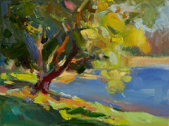 Beneath the Yellow Canopy
