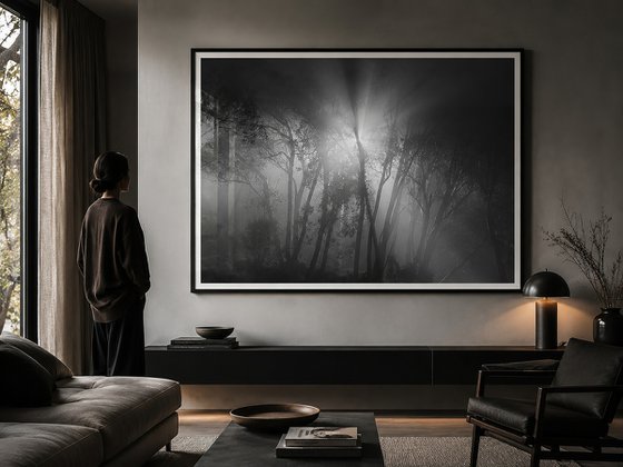 Arrival Beyond the Mist