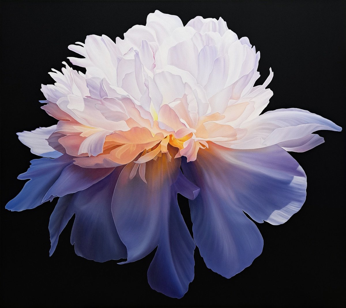 Photorealistic Oil Painting , Peony Dance By Anna Steshenko, 35 X 31, Artwork For Sale On Artfinder