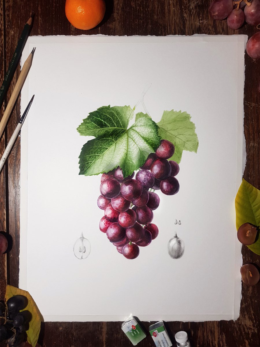 Red Grapes by Dovydas Bou