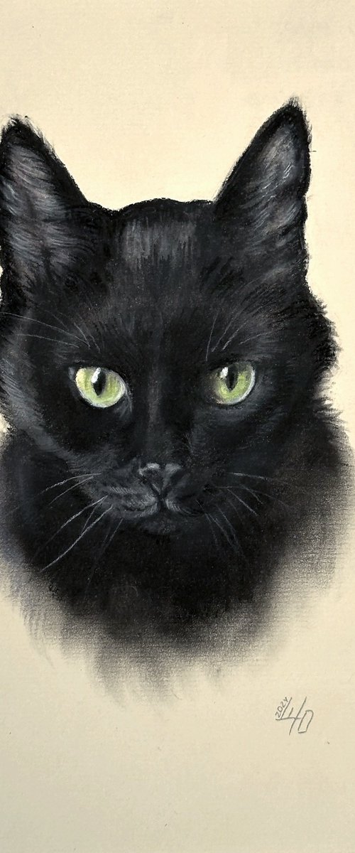 Portrait of Black Cat with Green Eyes by Julia Shilo