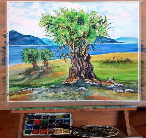Olive Tree by the Sea
