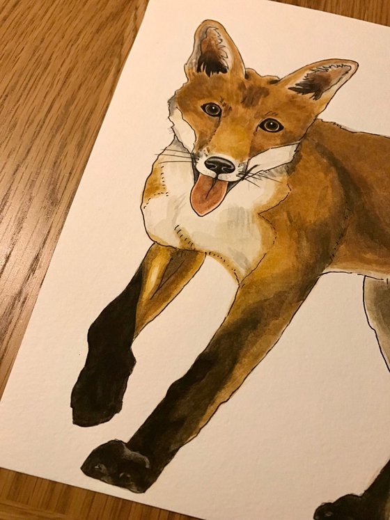 Fox