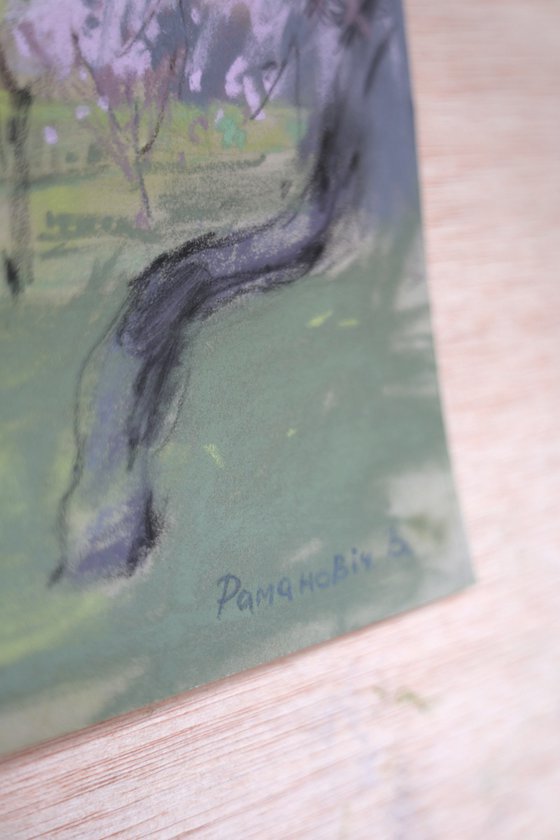 In a blossoming park