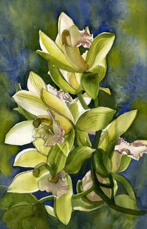 winter cymbidium orchid watercolor floral by Alfred  Ng