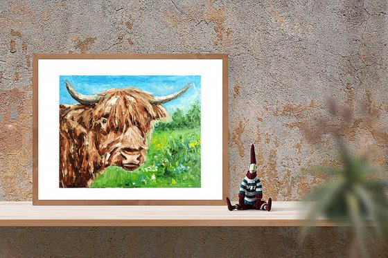 Highland Cow