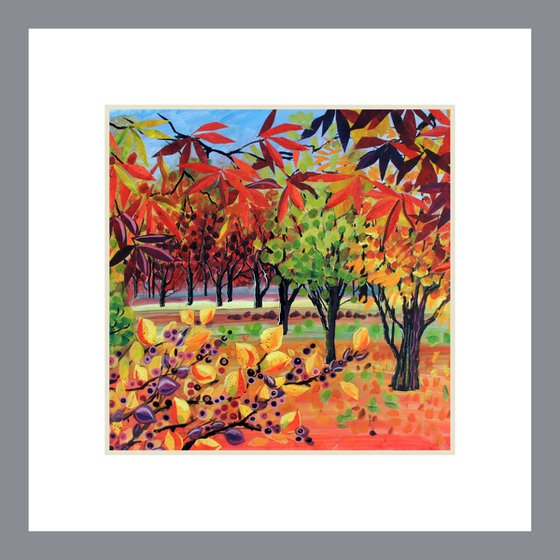 Red Acers Purple Berries