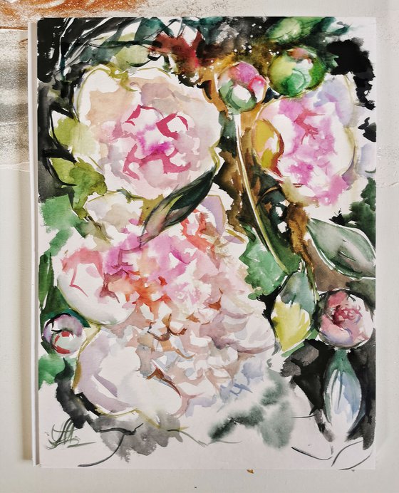 Peonies painting, Watercolor painting