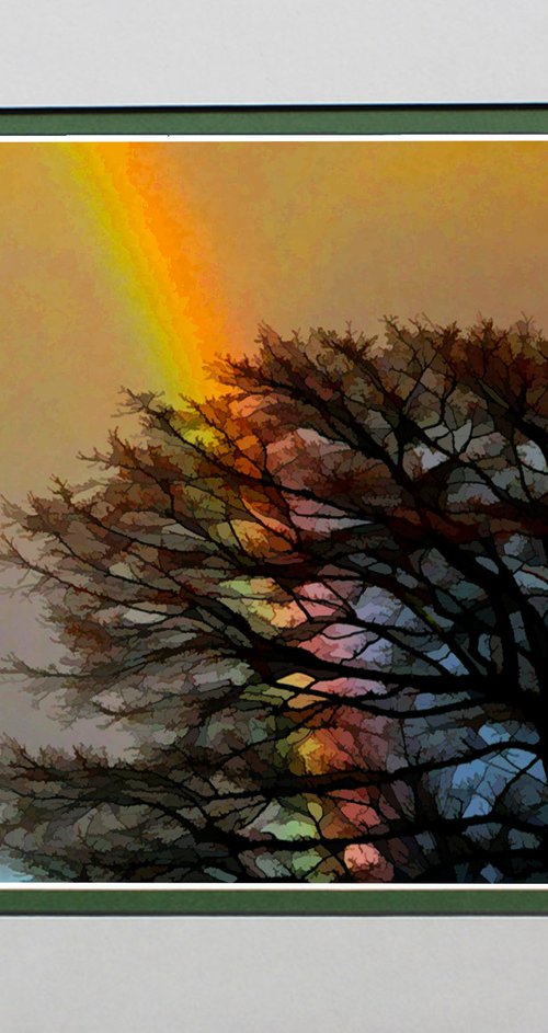 Rainbow's End by Robin Clarke