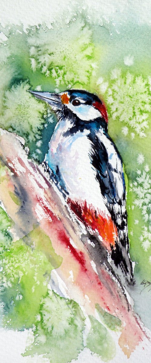 Woodpecker by Kovács Anna Brigitta