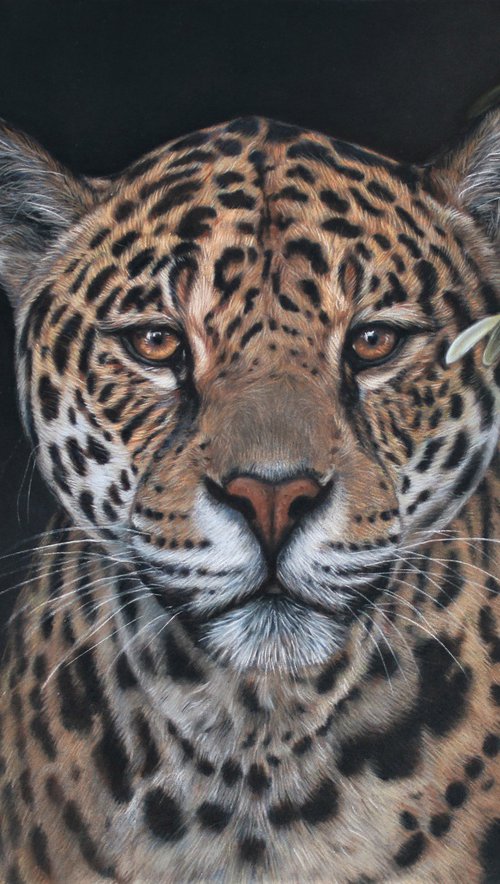 Jaguar by Tatjana Bril