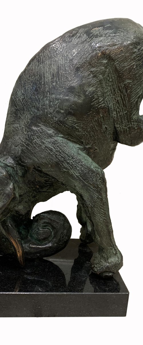 Circus elephant 2 by Toth Kristof