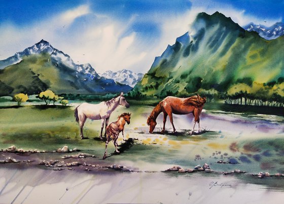 Ullu Tau - horses graze freely in the mountains