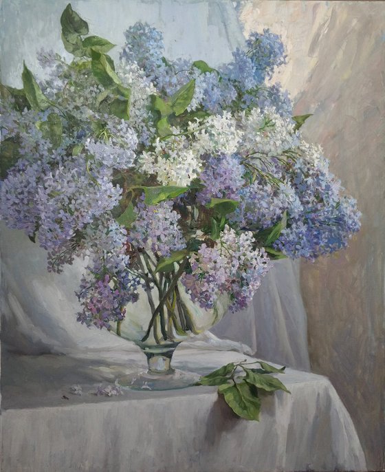 Lilac on White