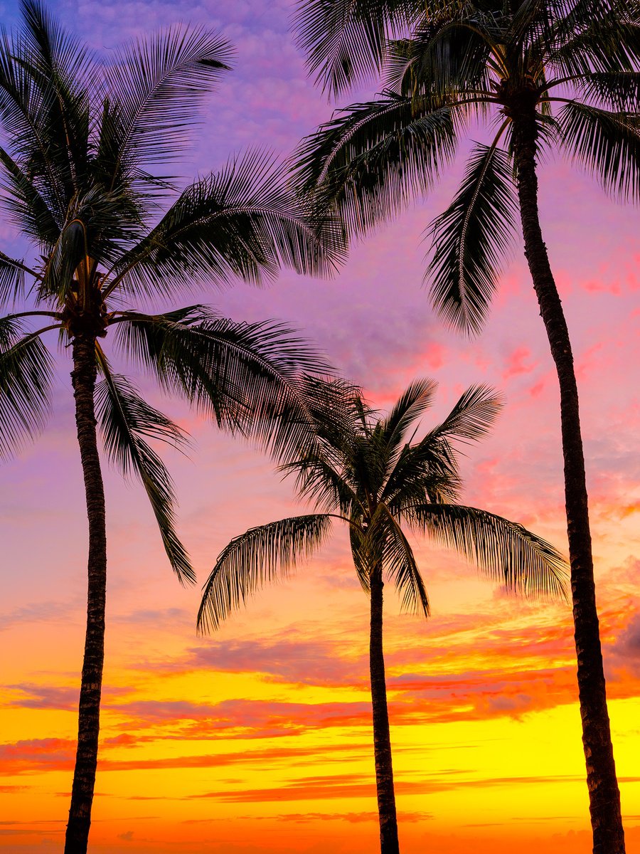 Photorealistic Landscape Photograph By Nick Psomiadis, 35 X 47", Oahu, Original Artwork