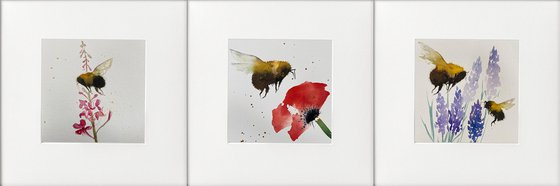 Three Countryside rural scenes