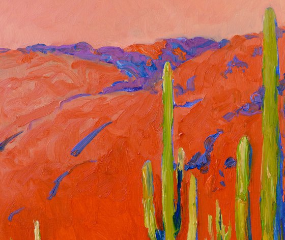 Bright Sun of the Evening Desert