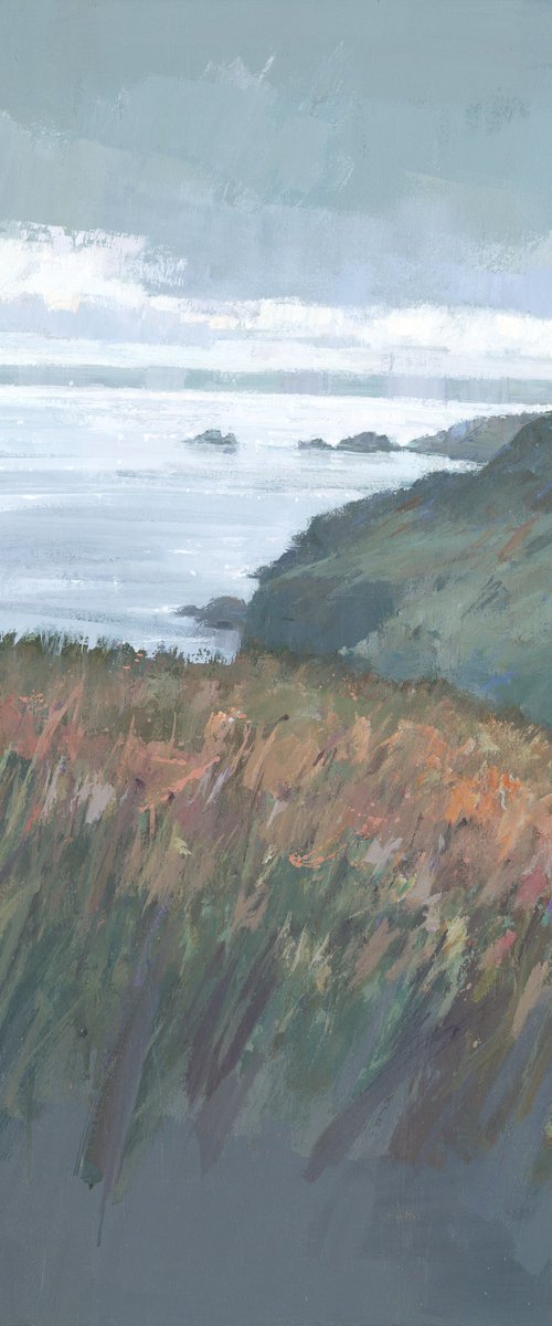 Lizard Point, Cornwall by Steve Mitchell